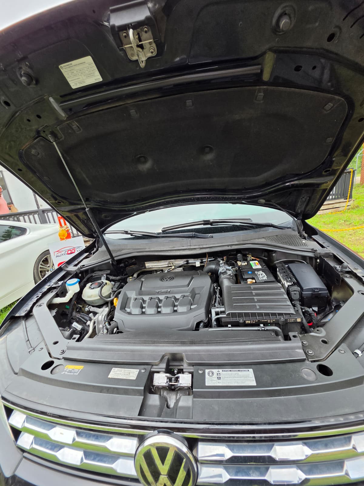 volkswagen - Imagen 5